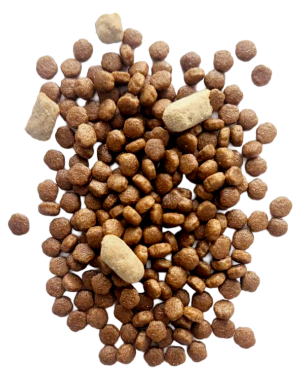 Premium Series Dog Food: Chicken & Blueberry