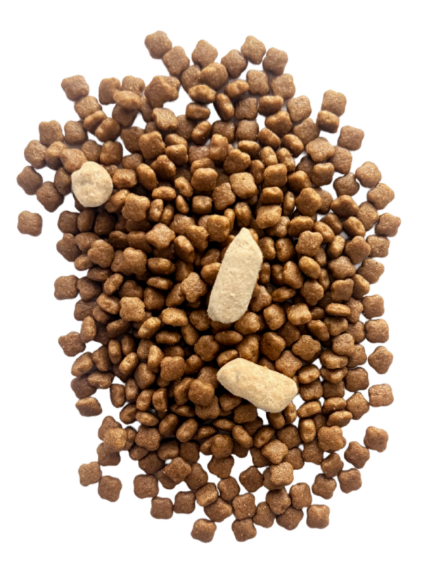 Premium Series Cat Food: Chicken & Cranberry