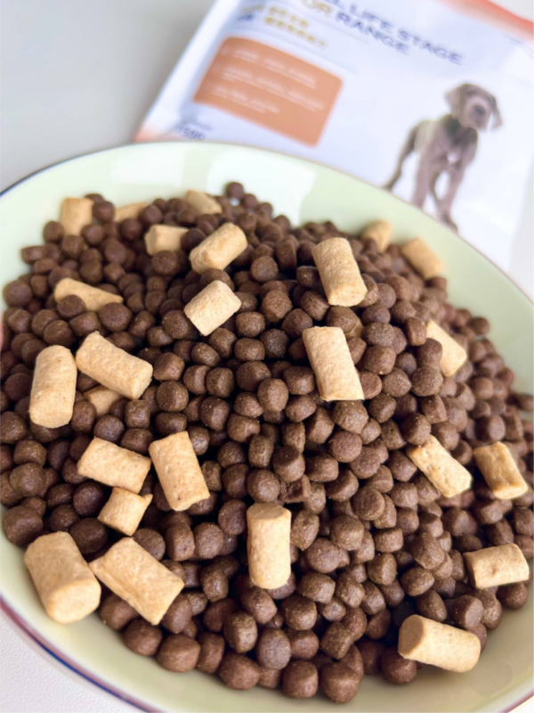 Indoor Series Dog food: Immunity support