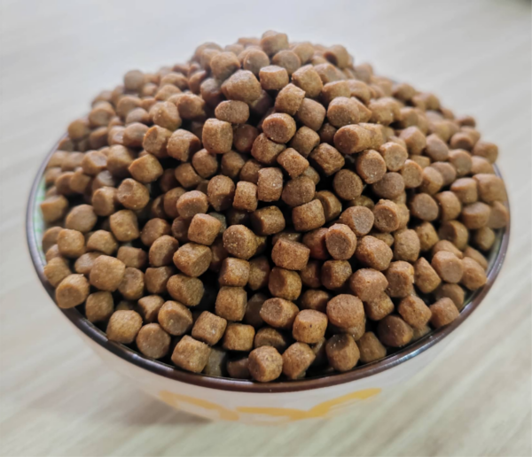 Lactoferrin Series Cat food:  Kitten starter food