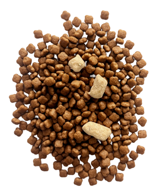 Premium Series Cat Food: Rabbit & Apple